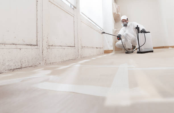 24/7 Emergency Mold Removal experts in Mount Holly, NJ